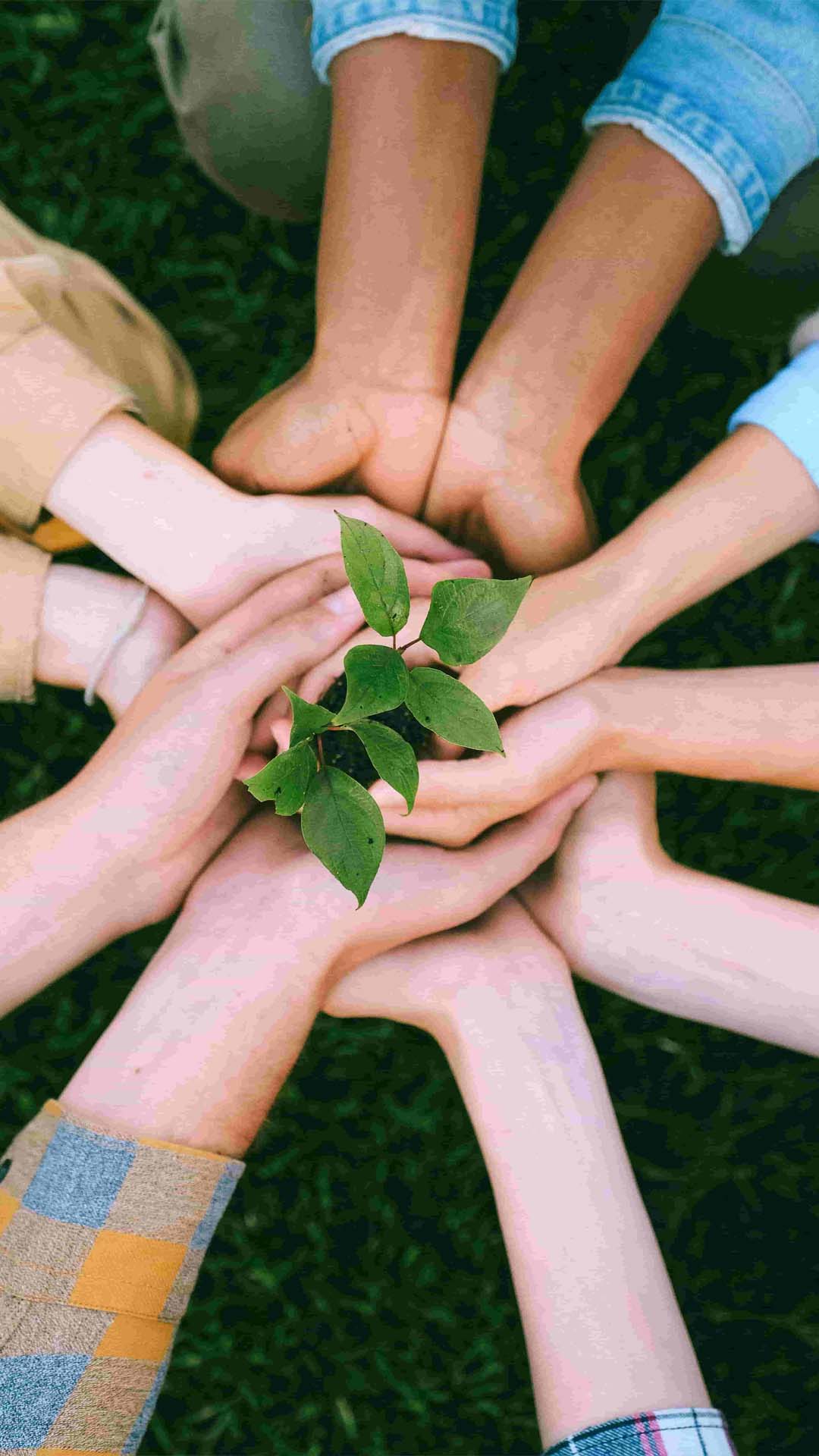 Environmental Support